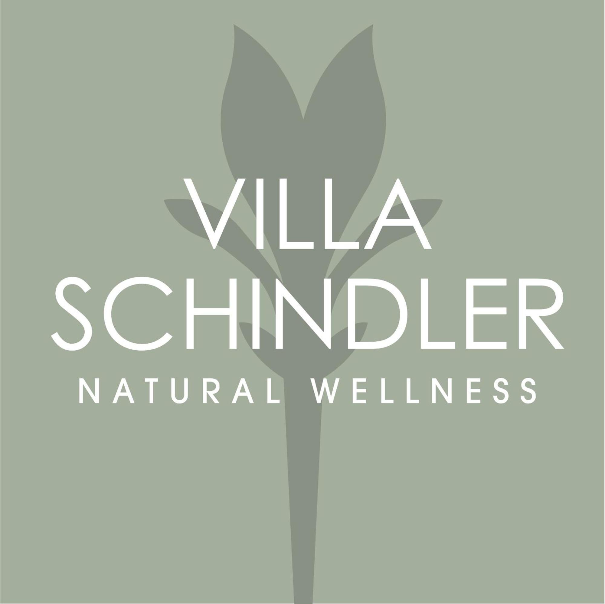 Villa Schindler Манерба дел Гарда Екстериор снимка